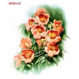 EM08484