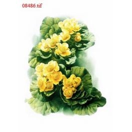 EM08486