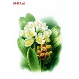 EM08489