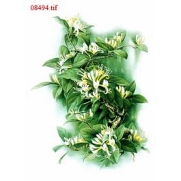 EM08494
