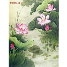 EM08505