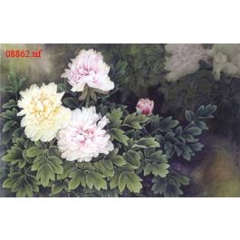 EM08862