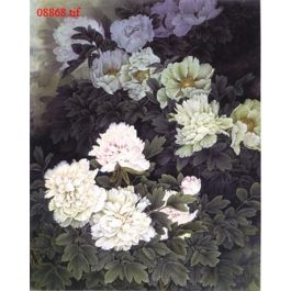 EM08868