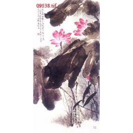 EM09538