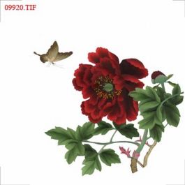 EM09920