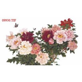 EM09930