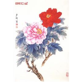 EM09932