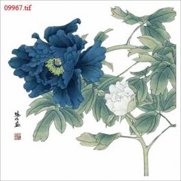 EM09967
