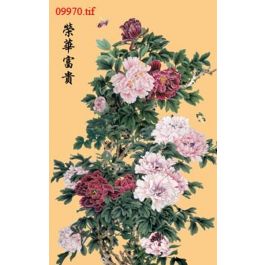 EM09970