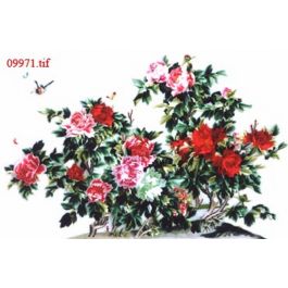 EM09971