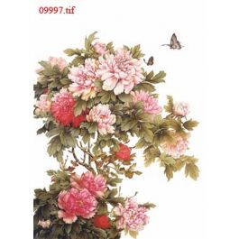 EM09997