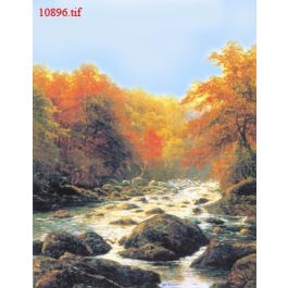EM10896