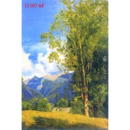 EM11507