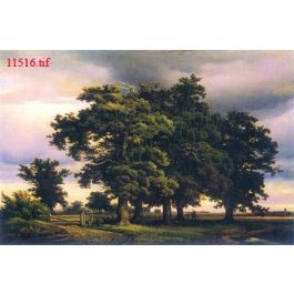 EM11516