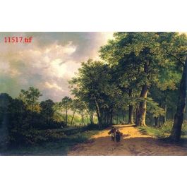 EM11517