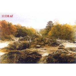 EM11538