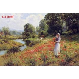 EM12156