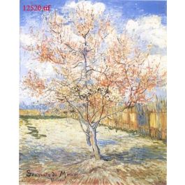 EM12520