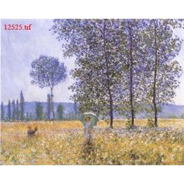 EM12525