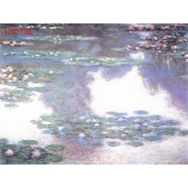 EM12527