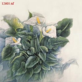 EM12605