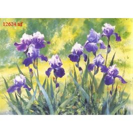 EM12624