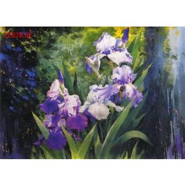EM12628
