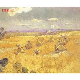 EM12881