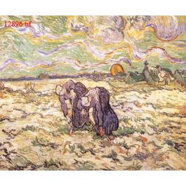EM12896
