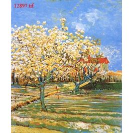 EM12897