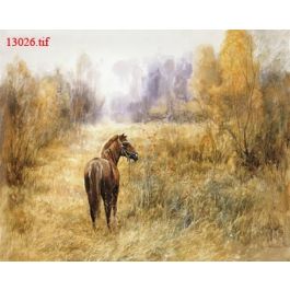 EM13026