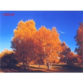 EM13090