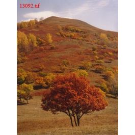 EM13092