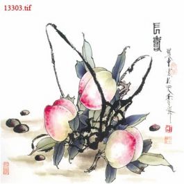 EM13303