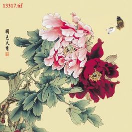 EM13317