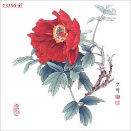 EM13356