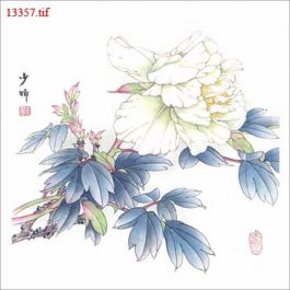 EM13357