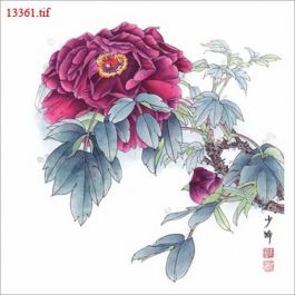 EM13361