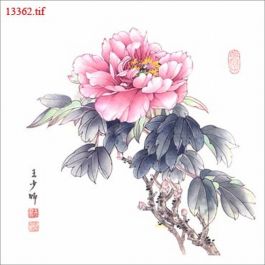 EM13362