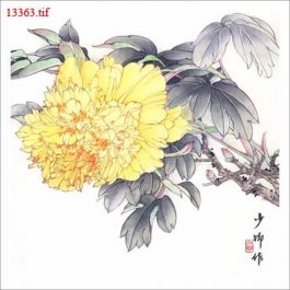 EM13363