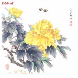 EM13364