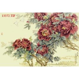 EM13372