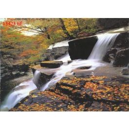 EM13423