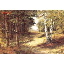 EM13447