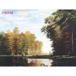 EM13453