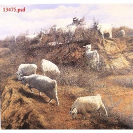EM13475