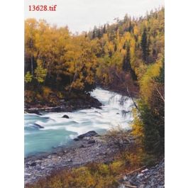 EM13628