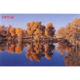 EM13673