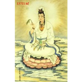 EM13711
