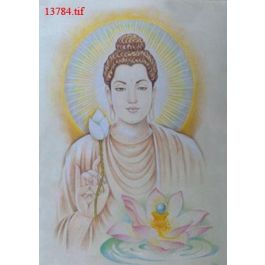EM13784